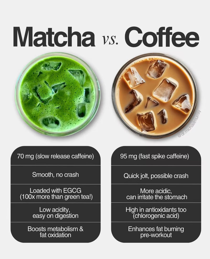 MatchaGo Cap (Matcha Flavour) with Free Delivery (Pack of 6 Pieces)